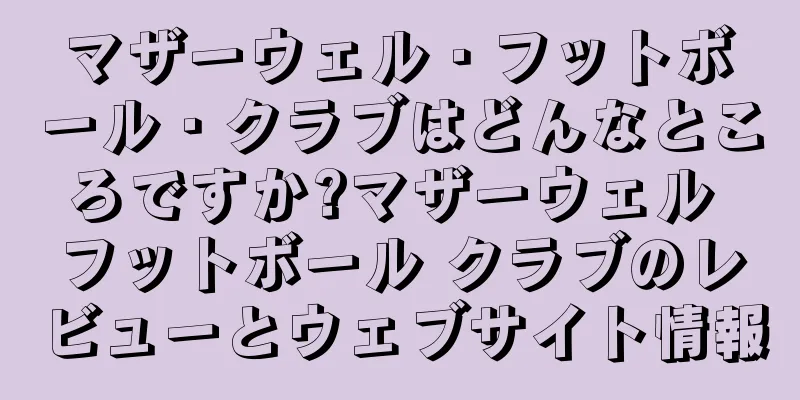 マザーウェル・フットボール・クラブはどんなところですか?マザーウェル フットボール クラブのレビューとウェブサイト情報
