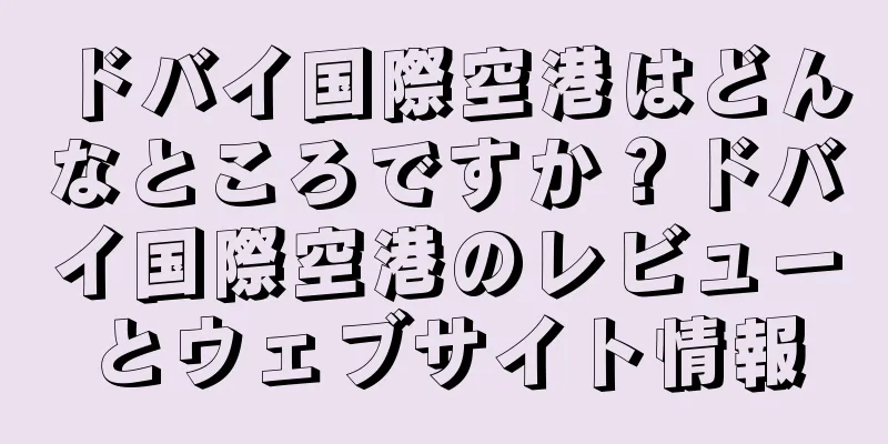 ドバイ国際空港はどんなところですか？ドバイ国際空港のレビューとウェブサイト情報