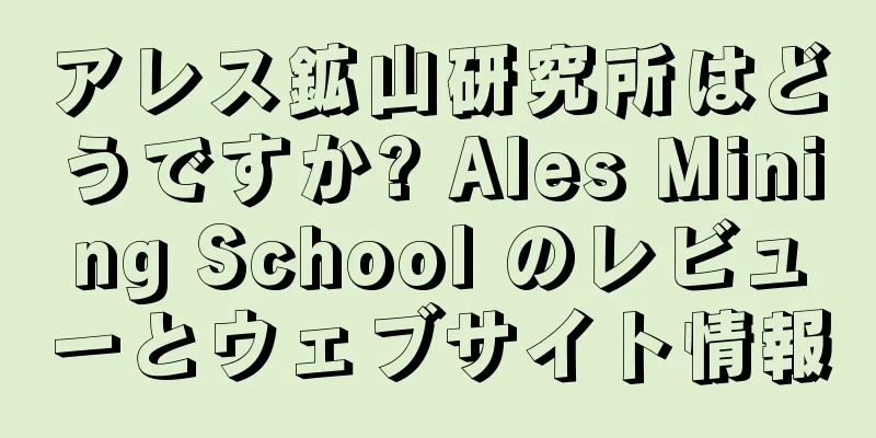 アレス鉱山研究所はどうですか? Ales Mining School のレビューとウェブサイト情報