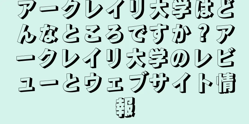 アークレイリ大学はどんなところですか？アークレイリ大学のレビューとウェブサイト情報