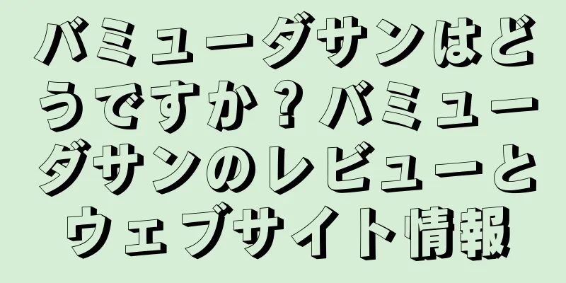 バミューダサンはどうですか？バミューダサンのレビューとウェブサイト情報