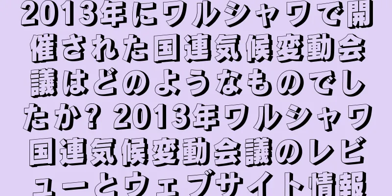 2013年にワルシャワで開催された国連気候変動会議はどのようなものでしたか? 2013年ワルシャワ国連気候変動会議のレビューとウェブサイト情報
