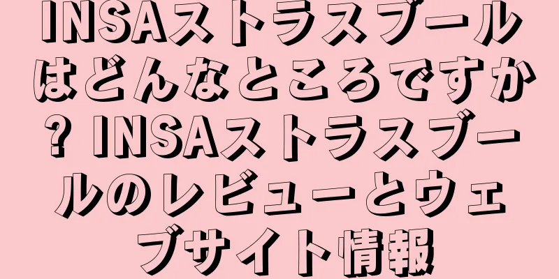 INSAストラスブールはどんなところですか? INSAストラスブールのレビューとウェブサイト情報