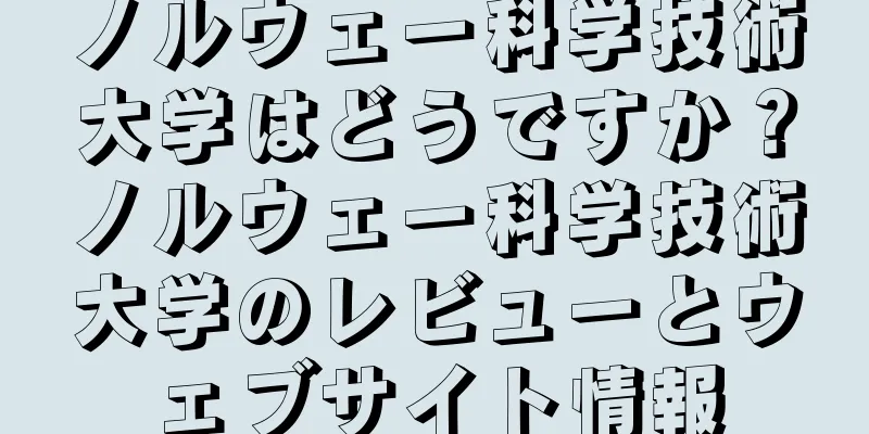 ノルウェー科学技術大学はどうですか？ノルウェー科学技術大学のレビューとウェブサイト情報