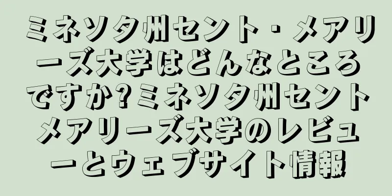 ミネソタ州セント・メアリーズ大学はどんなところですか?ミネソタ州セントメアリーズ大学のレビューとウェブサイト情報
