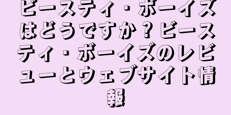 ビースティ・ボーイズはどうですか？ビースティ・ボーイズのレビューとウェブサイト情報