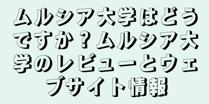 ムルシア大学はどうですか？ムルシア大学のレビューとウェブサイト情報