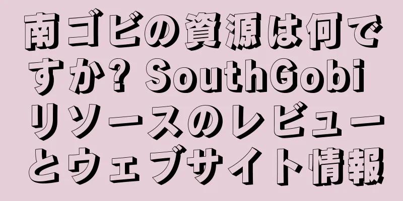 南ゴビの資源は何ですか? SouthGobi リソースのレビューとウェブサイト情報