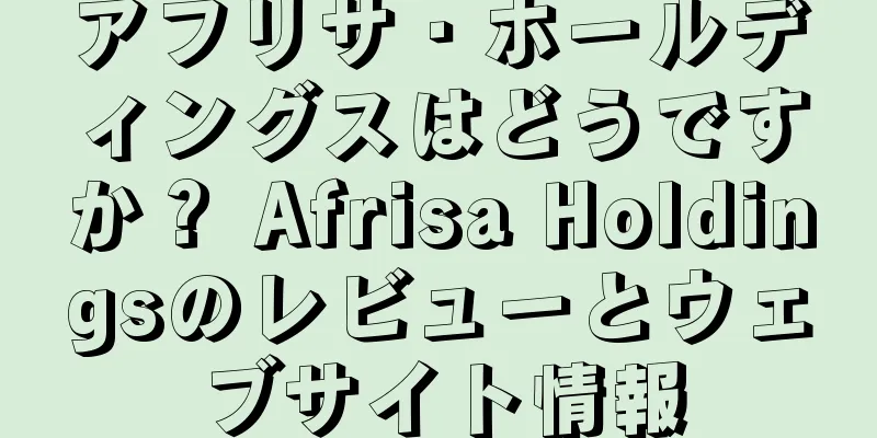アフリサ・ホールディングスはどうですか？ Afrisa Holdingsのレビューとウェブサイト情報
