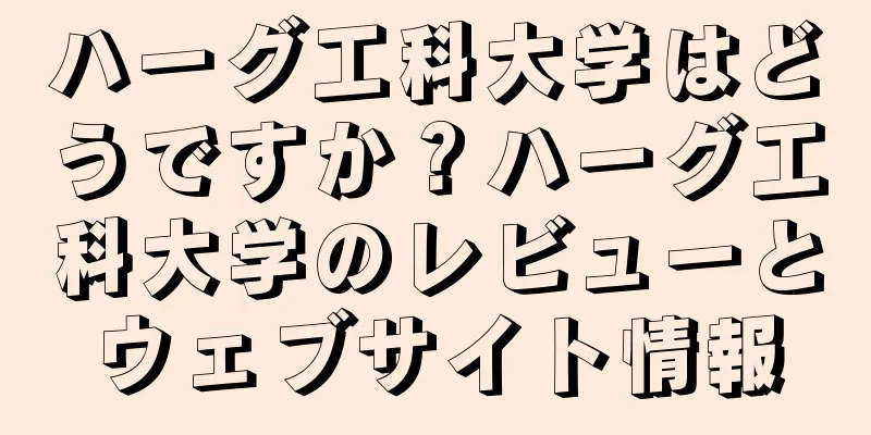 ハーグ工科大学はどうですか？ハーグ工科大学のレビューとウェブサイト情報