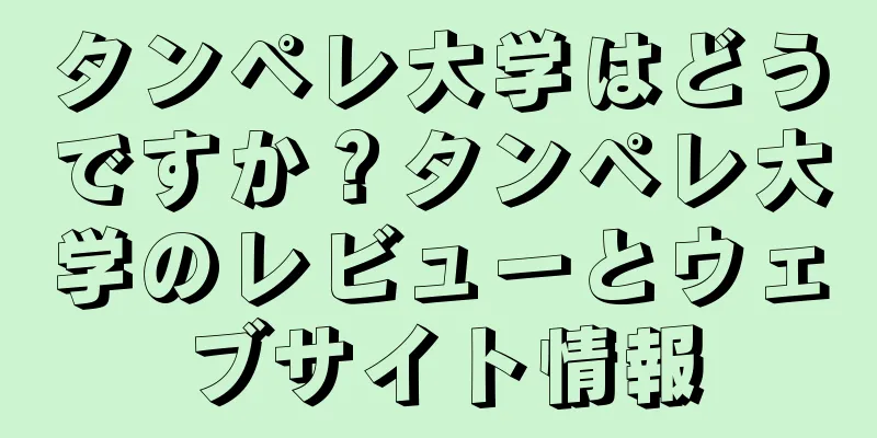 タンペレ大学はどうですか？タンペレ大学のレビューとウェブサイト情報