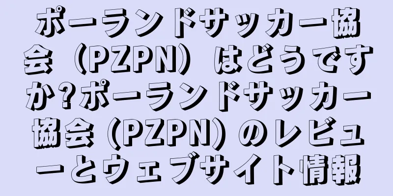 ポーランドサッカー協会（PZPN）はどうですか?ポーランドサッカー協会 (PZPN) のレビューとウェブサイト情報