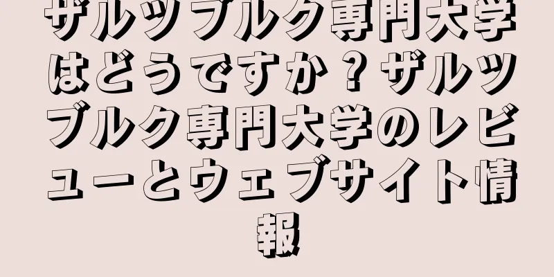 ザルツブルク専門大学はどうですか？ザルツブルク専門大学のレビューとウェブサイト情報