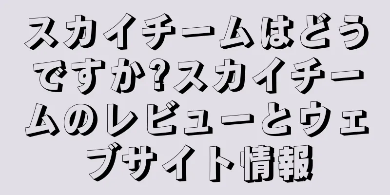 スカイチームはどうですか?スカイチームのレビューとウェブサイト情報