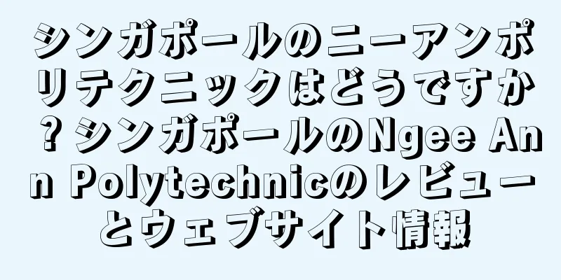 シンガポールのニーアンポリテクニックはどうですか？シンガポールのNgee Ann Polytechnicのレビューとウェブサイト情報