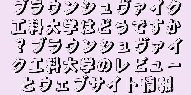 ブラウンシュヴァイク工科大学はどうですか？ブラウンシュヴァイク工科大学のレビューとウェブサイト情報