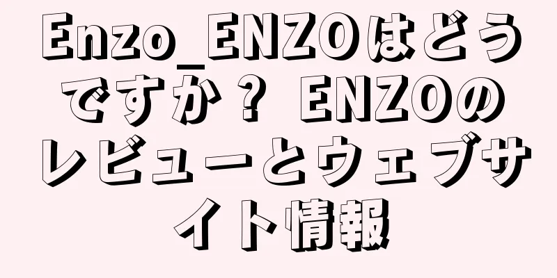 Enzo_ENZOはどうですか？ ENZOのレビューとウェブサイト情報