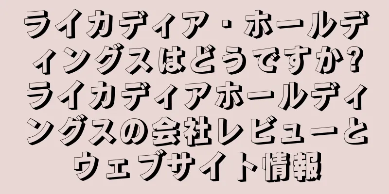 ライカディア・ホールディングスはどうですか?ライカディアホールディングスの会社レビューとウェブサイト情報