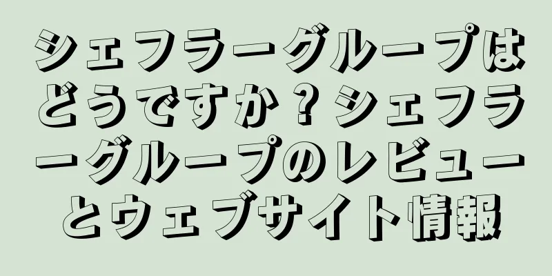 シェフラーグループはどうですか？シェフラーグループのレビューとウェブサイト情報