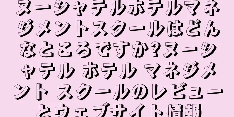 ヌーシャテルホテルマネジメントスクールはどんなところですか?ヌーシャテル ホテル マネジメント スクールのレビューとウェブサイト情報