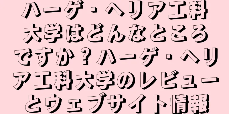 ハーゲ・ヘリア工科大学はどんなところですか？ハーゲ・ヘリア工科大学のレビューとウェブサイト情報