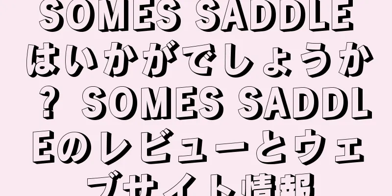 SOMES SADDLEはいかがでしょうか？ SOMES SADDLEのレビューとウェブサイト情報