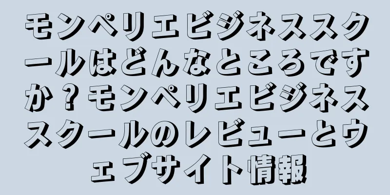 モンペリエビジネススクールはどんなところですか？モンペリエビジネススクールのレビューとウェブサイト情報