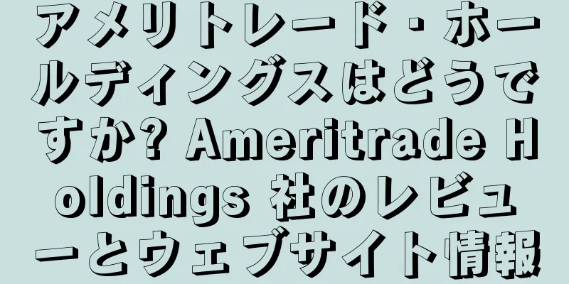 アメリトレード・ホールディングスはどうですか? Ameritrade Holdings 社のレビューとウェブサイト情報