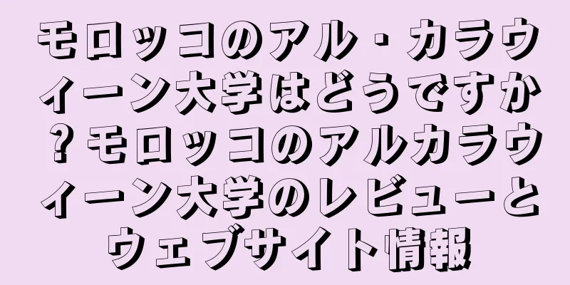 モロッコのアル・カラウィーン大学はどうですか？モロッコのアルカラウィーン大学のレビューとウェブサイト情報