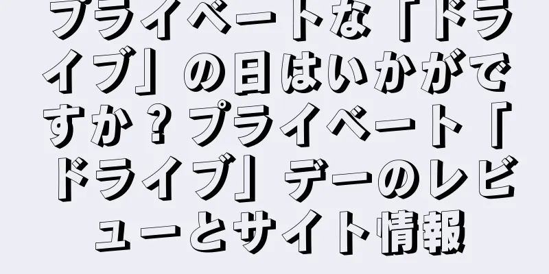 プライベートな「ドライブ」の日はいかがですか？プライベート「ドライブ」デーのレビューとサイト情報