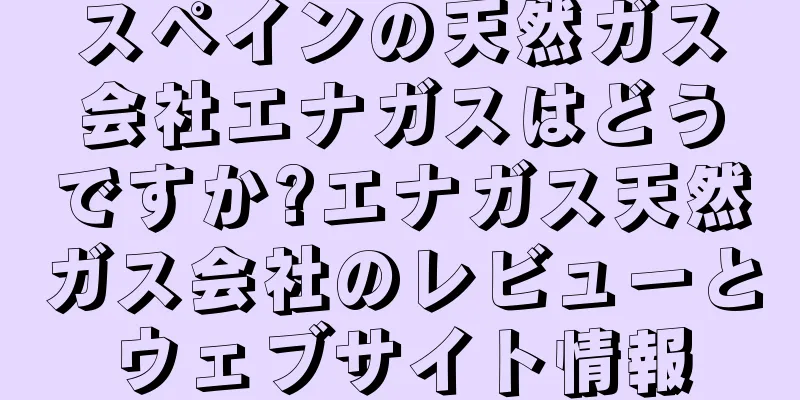 スペインの天然ガス会社エナガスはどうですか?エナガス天然ガス会社のレビューとウェブサイト情報