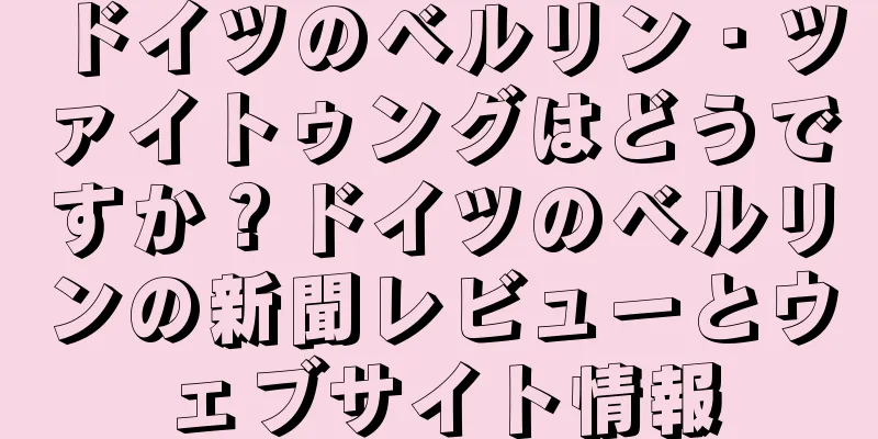 ドイツのベルリン・ツァイトゥングはどうですか？ドイツのベルリンの新聞レビューとウェブサイト情報