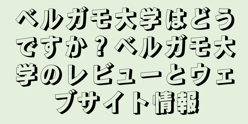 ベルガモ大学はどうですか？ベルガモ大学のレビューとウェブサイト情報