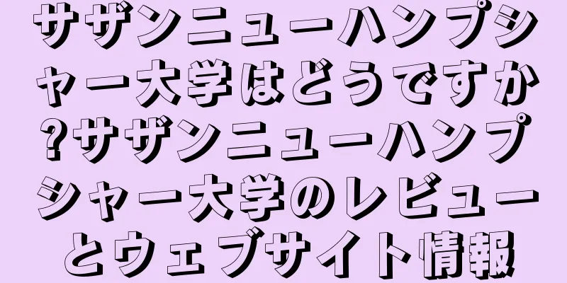 サザンニューハンプシャー大学はどうですか?サザンニューハンプシャー大学のレビューとウェブサイト情報