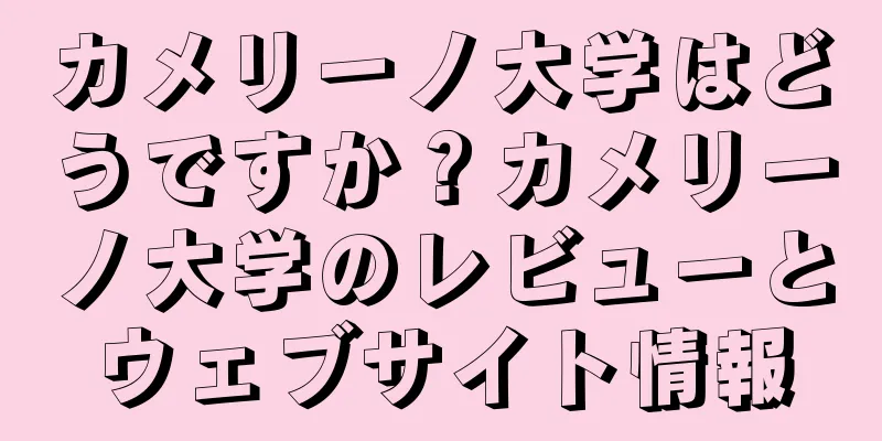 カメリーノ大学はどうですか？カメリーノ大学のレビューとウェブサイト情報