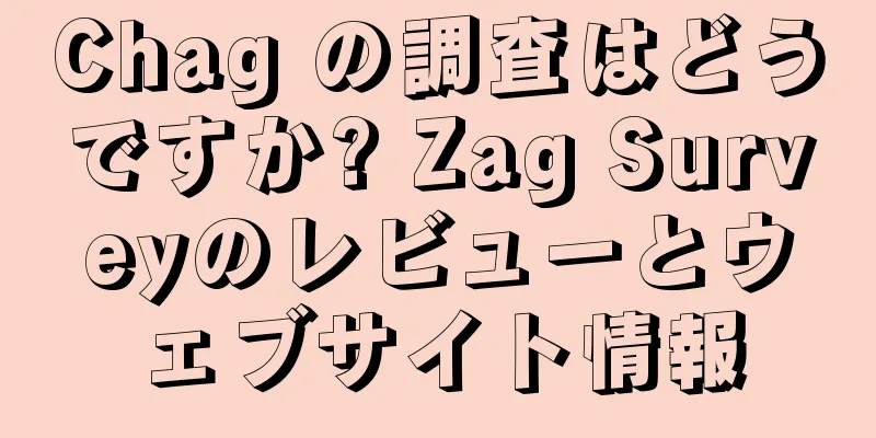 Chag の調査はどうですか? Zag Surveyのレビューとウェブサイト情報