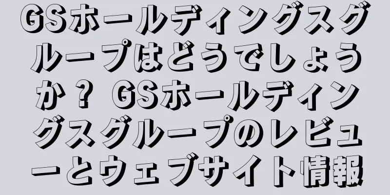 GSホールディングスグループはどうでしょうか？ GSホールディングスグループのレビューとウェブサイト情報