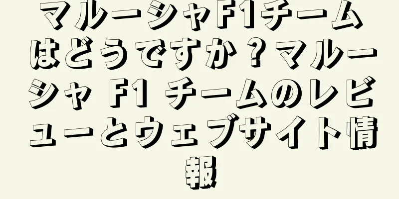 マルーシャF1チームはどうですか？マルーシャ F1 チームのレビューとウェブサイト情報