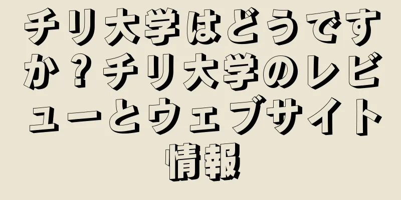 チリ大学はどうですか？チリ大学のレビューとウェブサイト情報