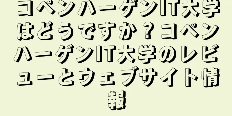 コペンハーゲンIT大学はどうですか？コペンハーゲンIT大学のレビューとウェブサイト情報