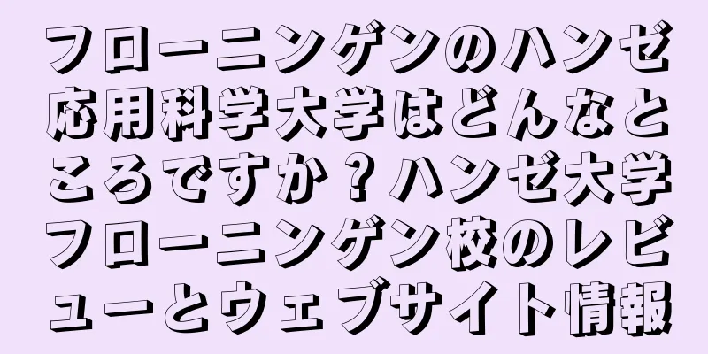 フローニンゲンのハンゼ応用科学大学はどんなところですか？ハンゼ大学フローニンゲン校のレビューとウェブサイト情報