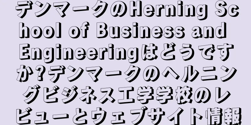 デンマークのHerning School of Business and Engineeringはどうですか?デンマークのヘルニングビジネス工学学校のレビューとウェブサイト情報