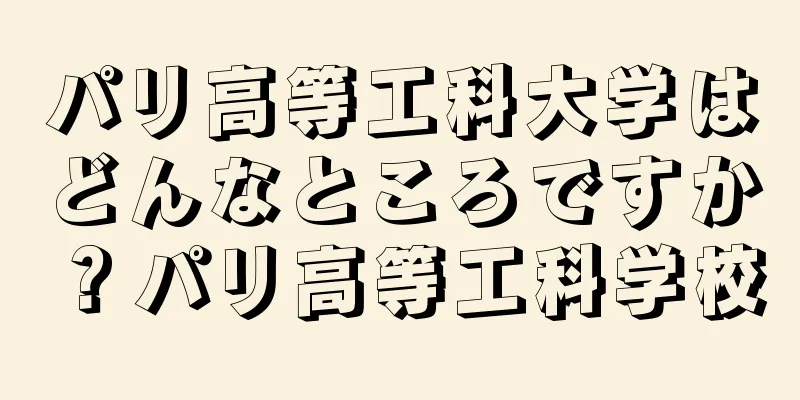 パリ高等工科大学はどんなところですか？パリ高等工科学校