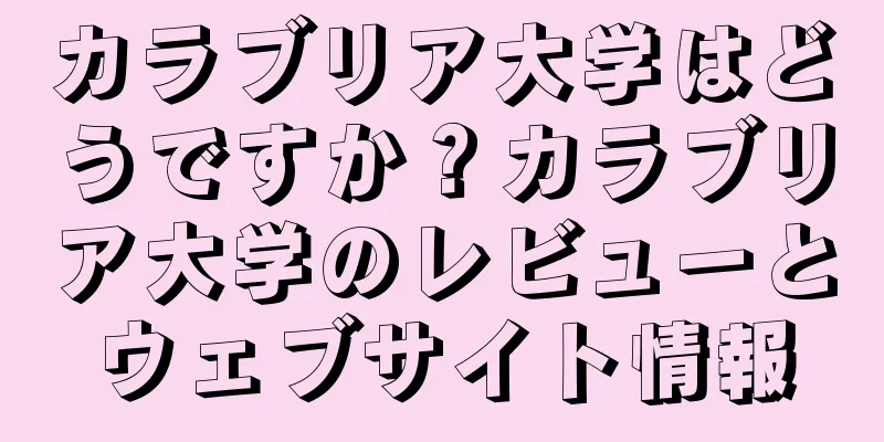 カラブリア大学はどうですか？カラブリア大学のレビューとウェブサイト情報