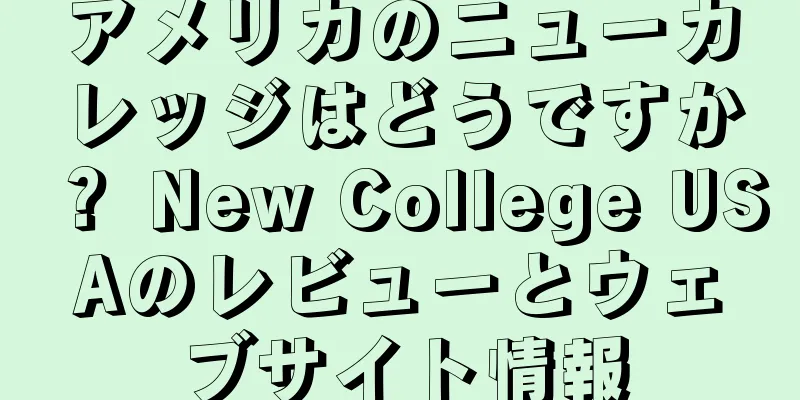 アメリカのニューカレッジはどうですか？ New College USAのレビューとウェブサイト情報