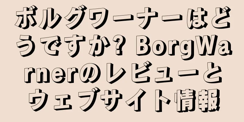 ボルグワーナーはどうですか? BorgWarnerのレビューとウェブサイト情報