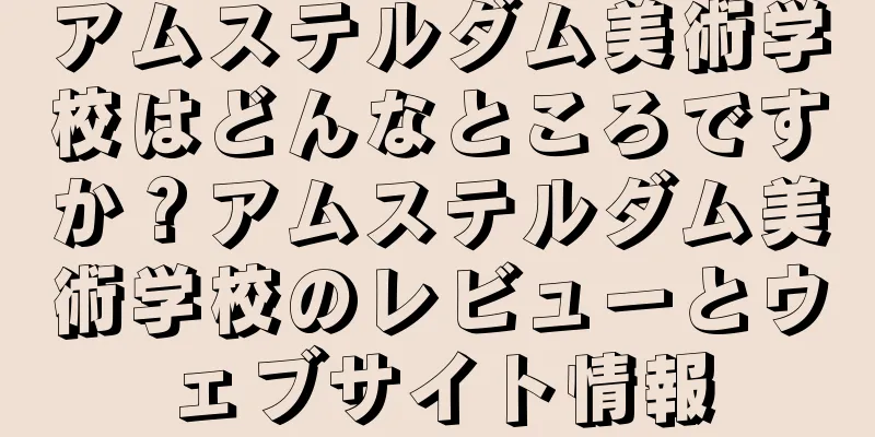 アムステルダム美術学校はどんなところですか？アムステルダム美術学校のレビューとウェブサイト情報