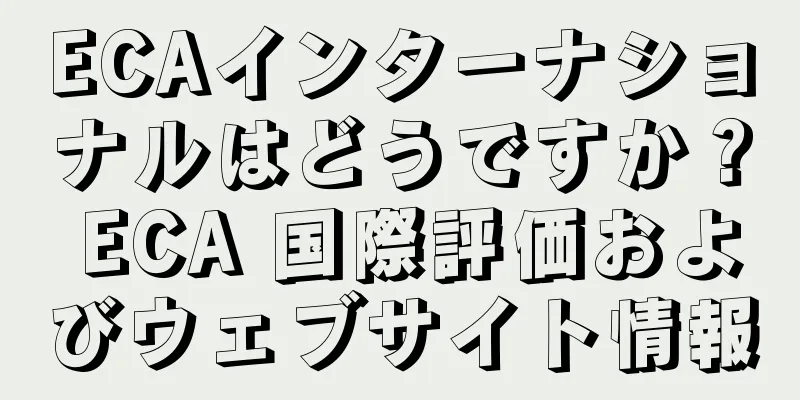 ECAインターナショナルはどうですか？ ECA 国際評価およびウェブサイト情報