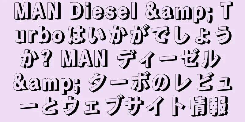 MAN Diesel & Turboはいかがでしょうか? MAN ディーゼル & ターボのレビューとウェブサイト情報