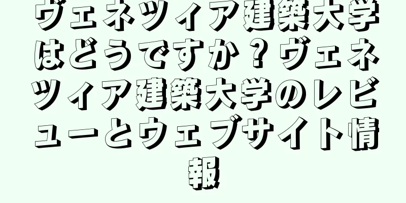 ヴェネツィア建築大学はどうですか？ヴェネツィア建築大学のレビューとウェブサイト情報